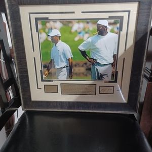 Picture Michel Jordan and Tiger Wood golf